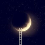 Animali nei sogni: cosa rappresentano?