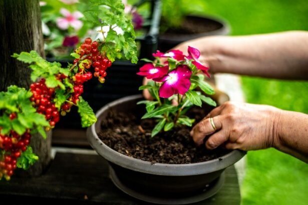 Sognare di piantare fiori