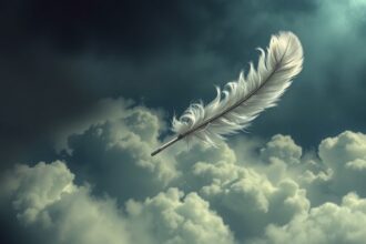 Piuma bianca che svetta tra le nuvole scure