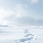 Paesaggio innevato con impronte sulla neve fresca.